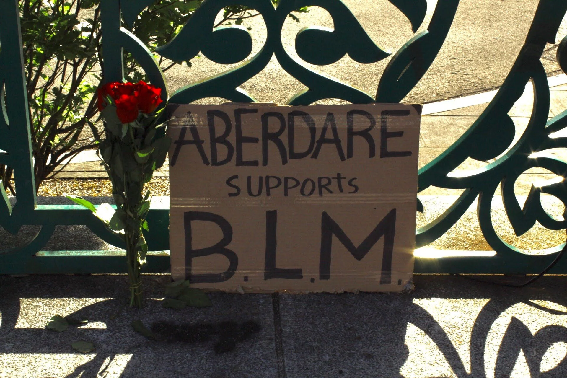 Martha Thicket – BLM Rhondda Cynon Taf (16)